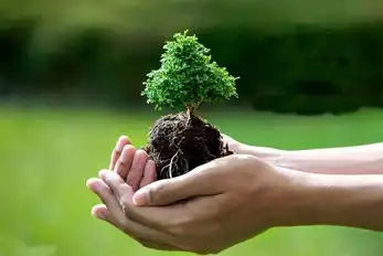فناوری‌های سبز چیست