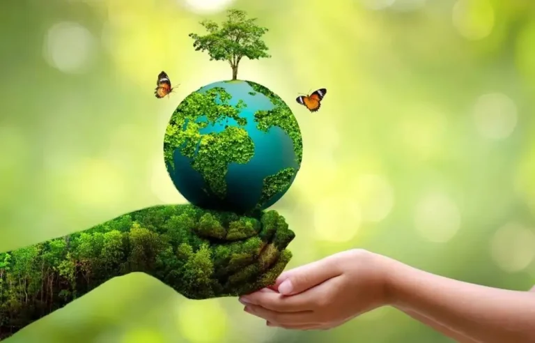 محیط زیست پایدار چیست؟