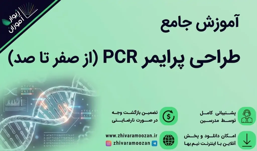 آموزش جامع طراحی پرایمر PCR از صفر تا صد
